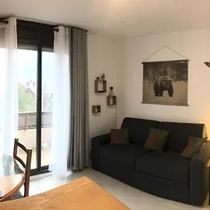 Aux Pieds Des Remontees Mecaniques Appartement